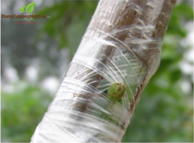 Băng nilon ghép cây chuyên dụng( cuộn xanh/ vàng)