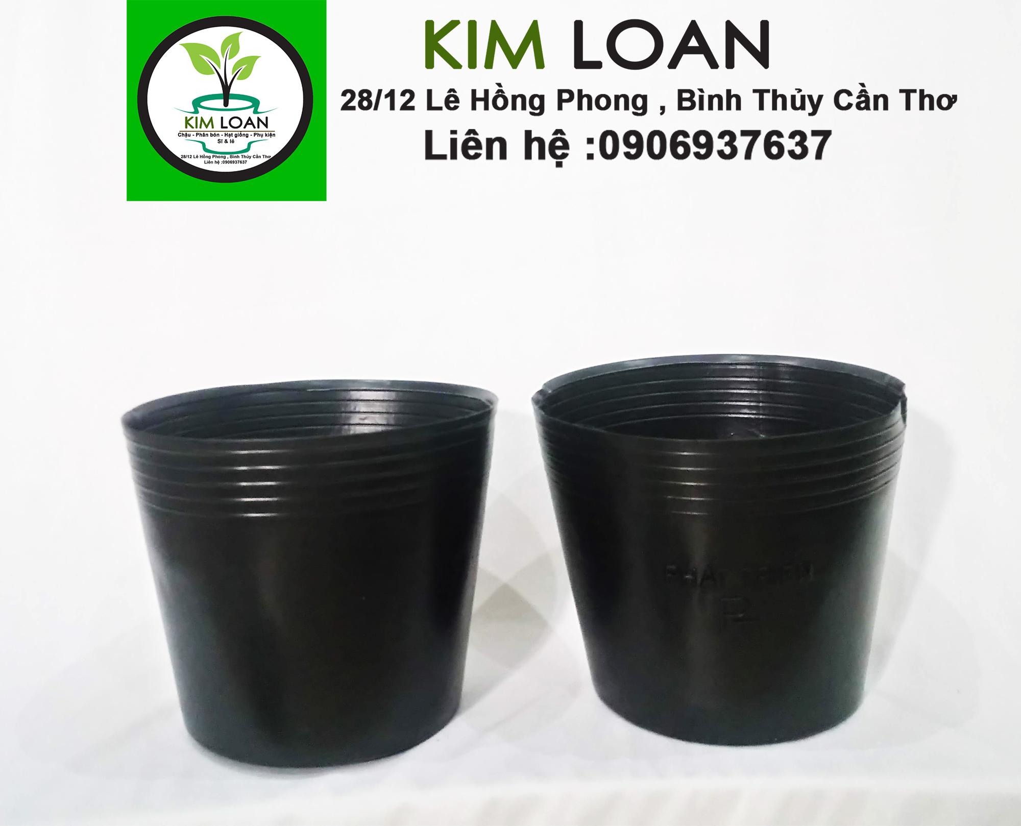 Combo 100 chậu nhựa mềm C8 18x16cm dày và bền [NHẬN BÁN SỈ, GIAO TOÀN QUỐC]