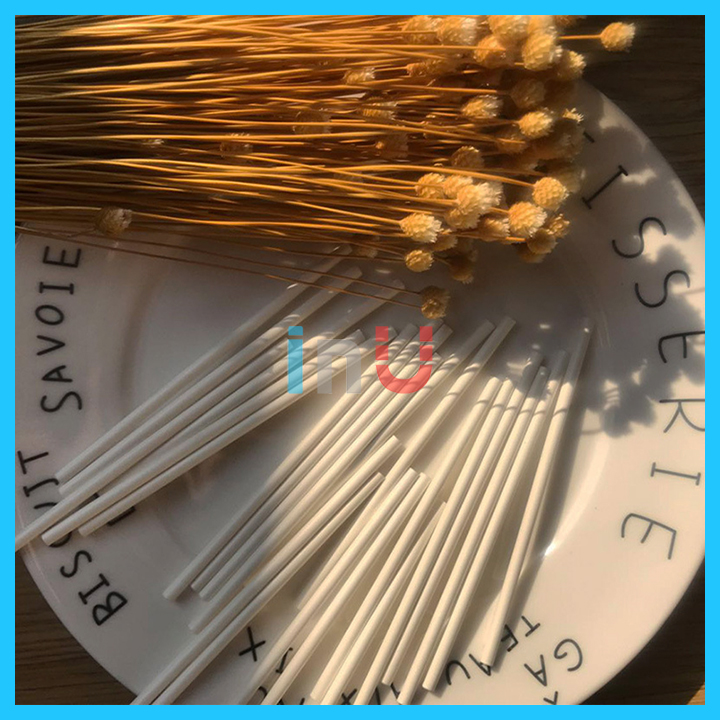 [HCM]HCM - Bịch 100 que làm kẹo mút kẹo socola cakepop