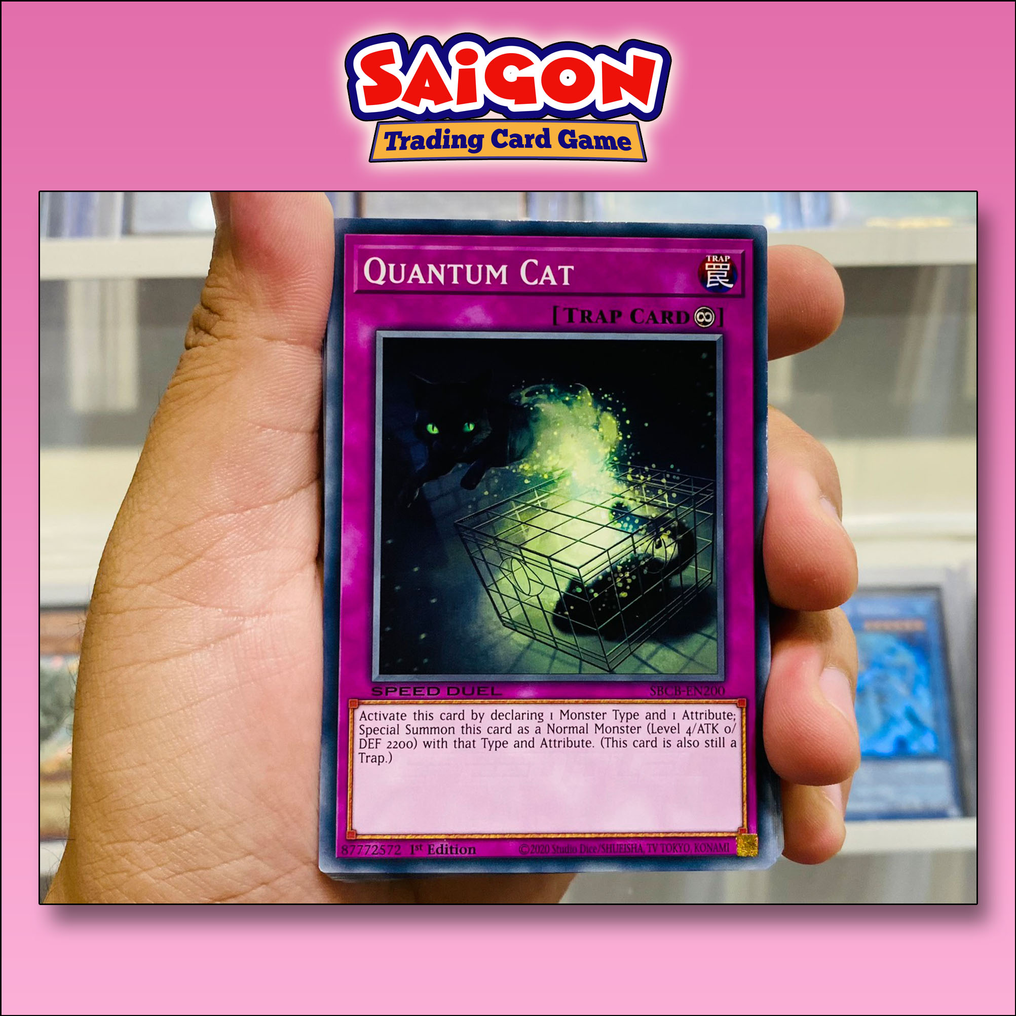 Thẻ bài yugioh mã sbcb-en200 - quantum cat - common - 1st edition