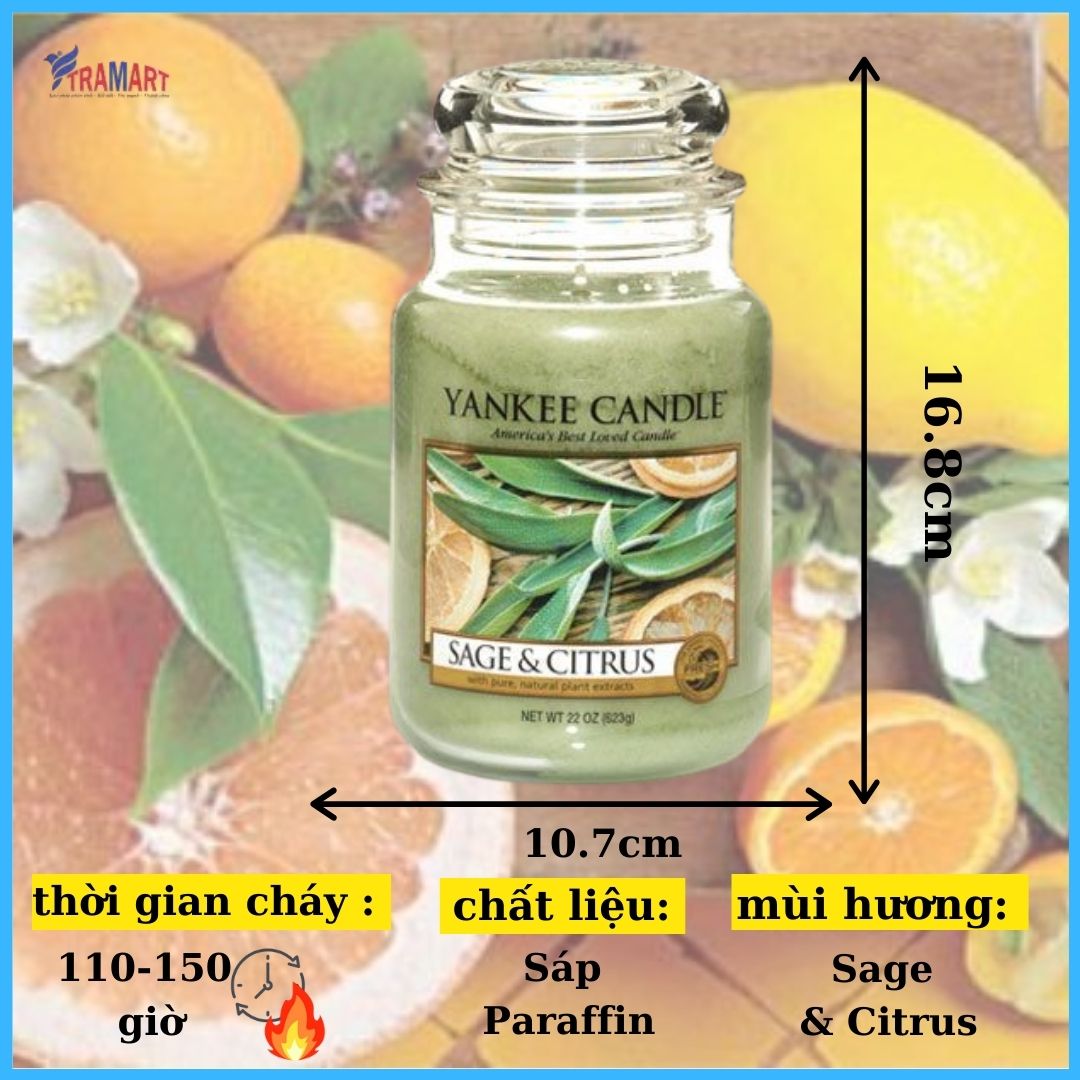 Hũ nến thơm sage & citrus yankee candle yan6796