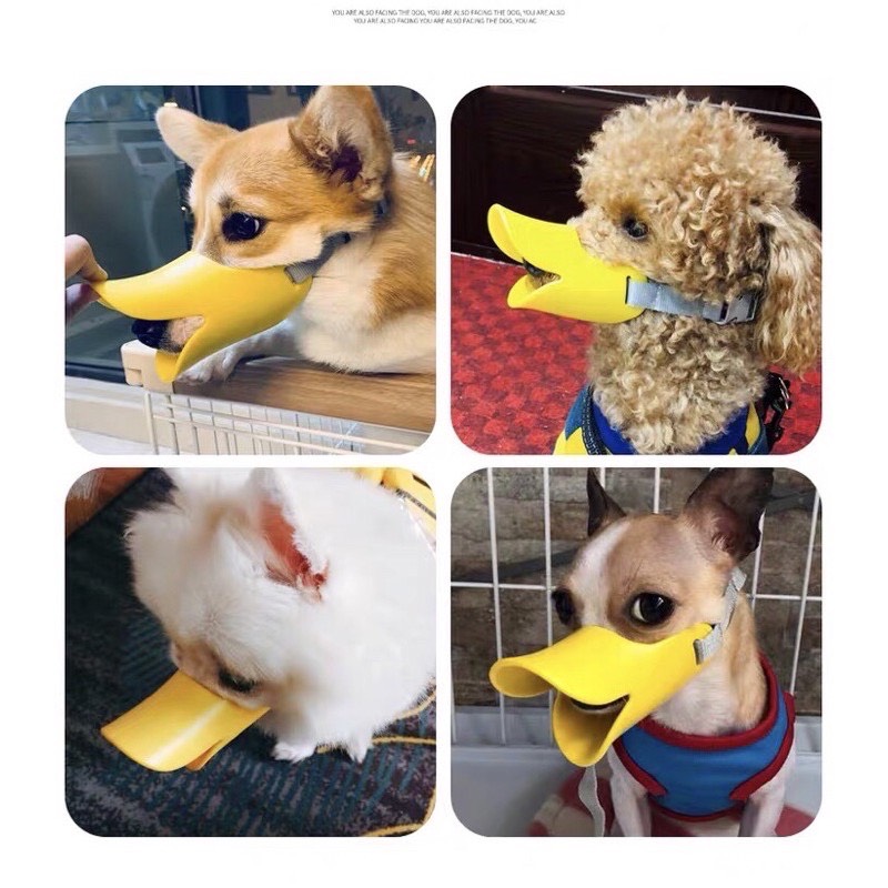Rọ mõm nhựa dẻo mỏ vịt dành cho thú cưng cao cấp