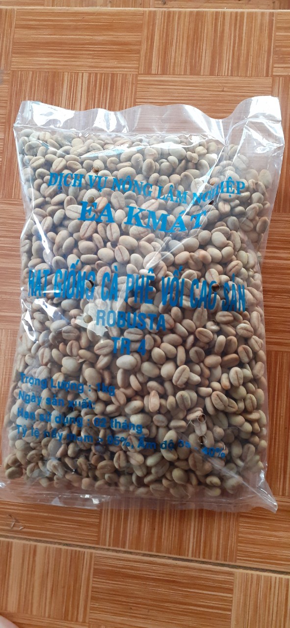 1KG Hạt giống cà phê TR4