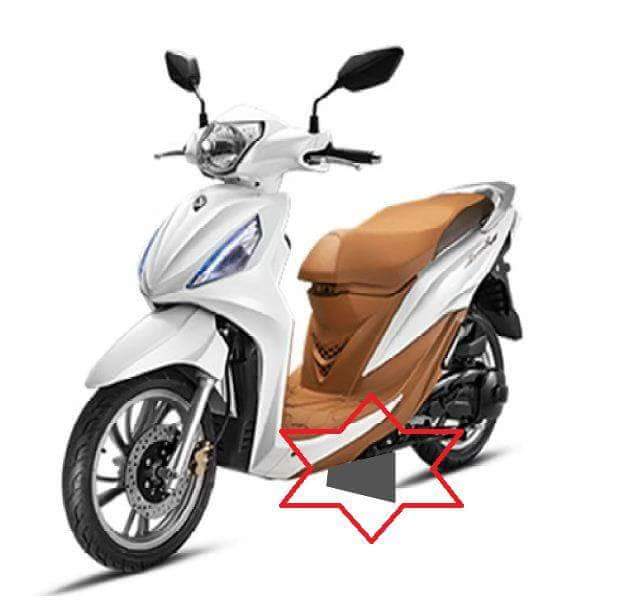 [HCM]TẤM CHẮN ĐINH XE SỐ