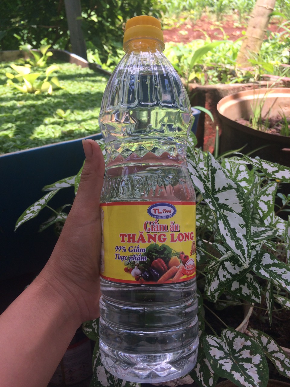 Giấm ăn Thăng Long chai 950ml. Date 06.2022