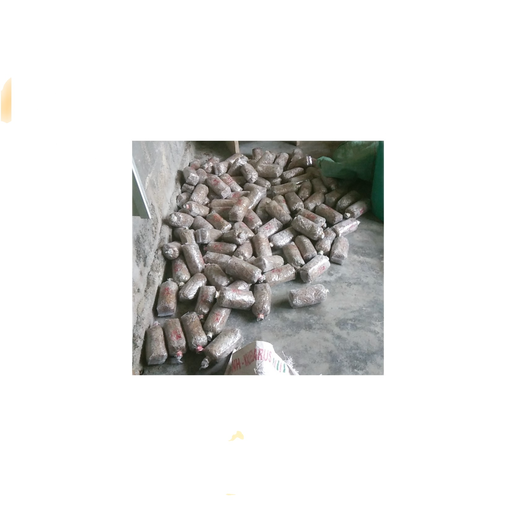 Meo giống nấm rơm bộ combo 5 bịch