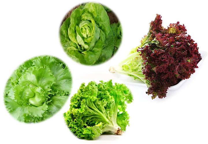 4-piece set of soap seeds-high percentage bubble sprout seeds year round.-shallow yellow seeds