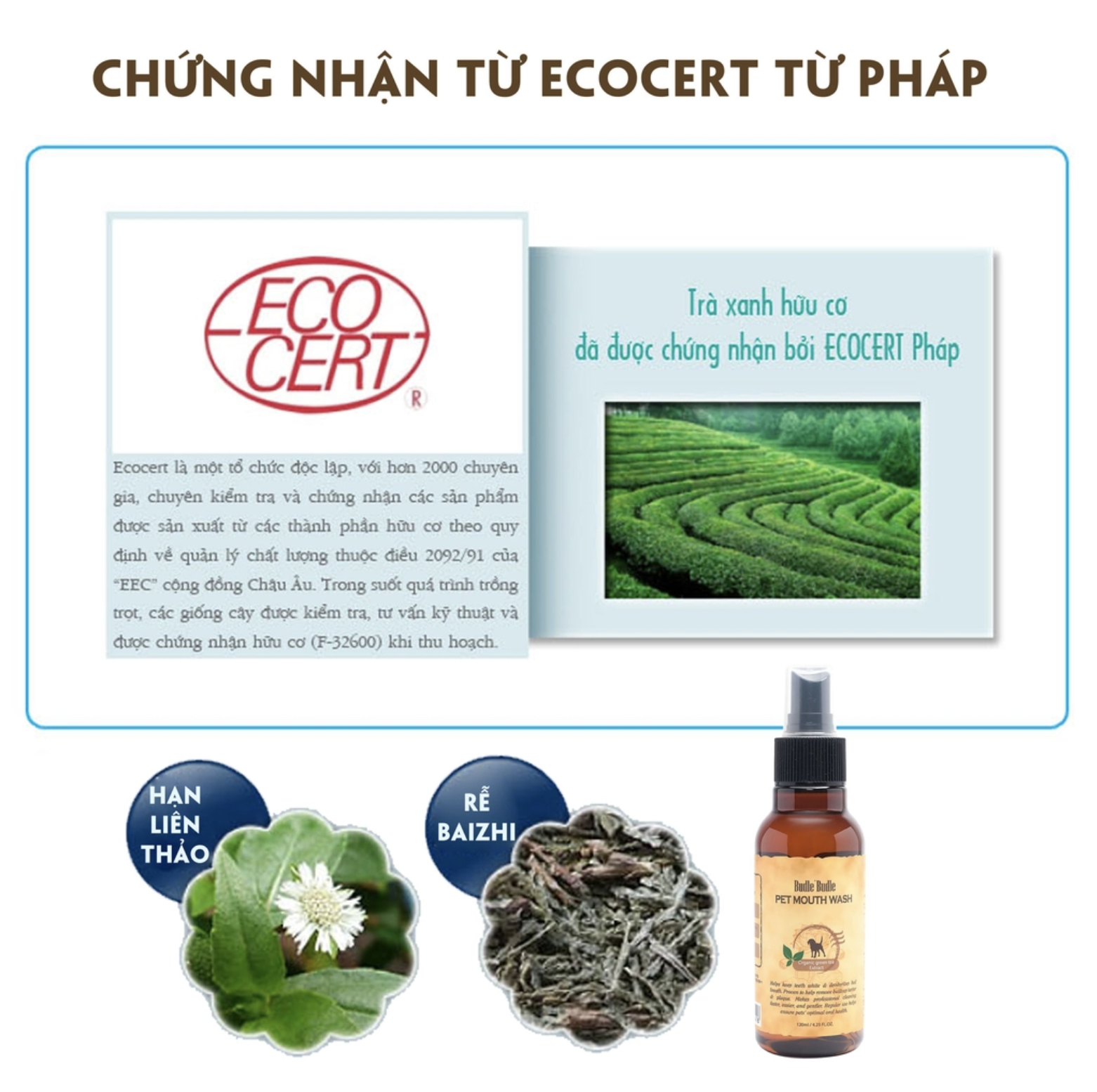 Xịt vệ sinh răng miệng Budle Budle cho chó 120ml