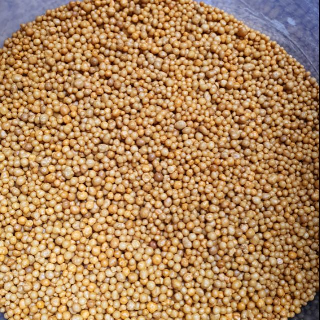 500g Phân tan chậm NPK 14 14 14 Osmocote