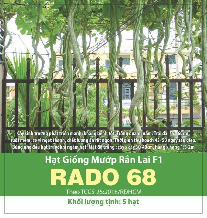 [Seeds] Hạt giống mướp rắn lai f1 Rado 68, đóng gói 5 hạt