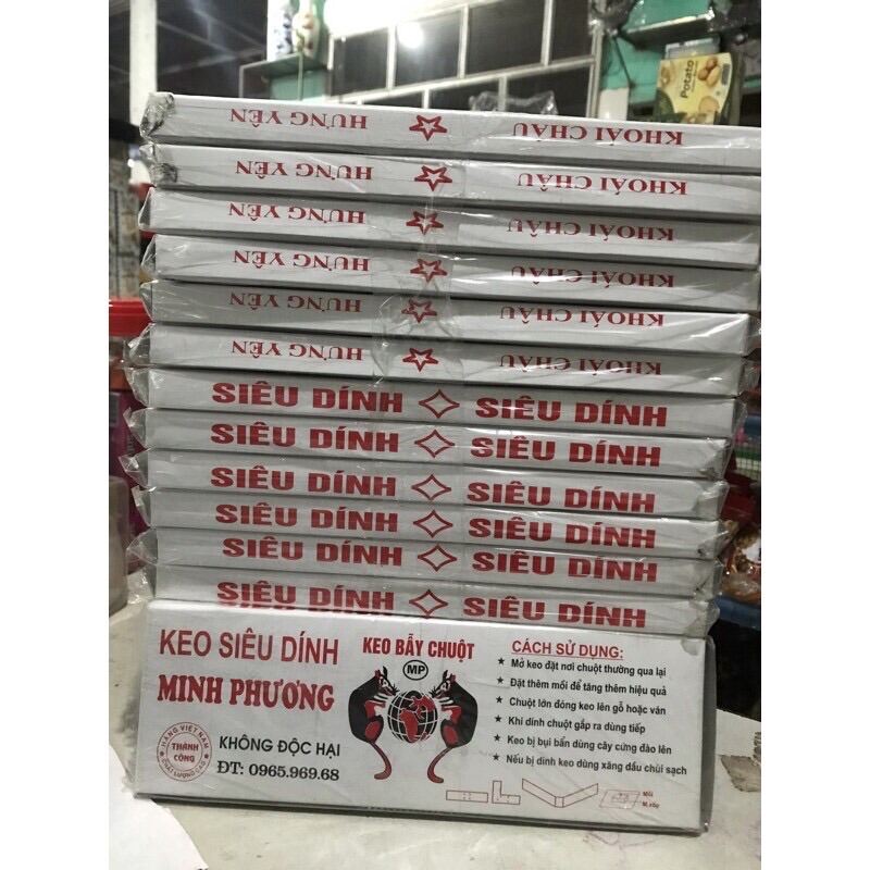 [Free Ship] - Keo dính chuột, bẫy chuột