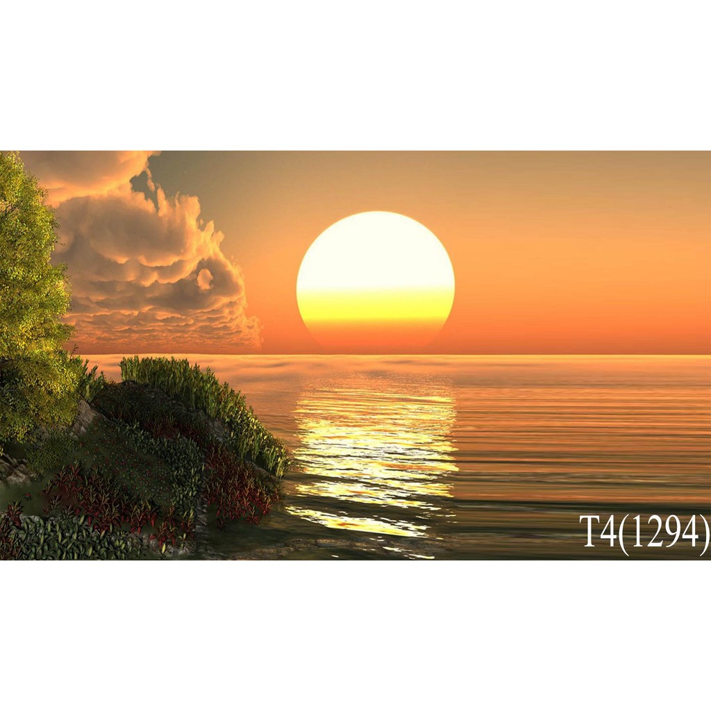 tranh 3d bể cá