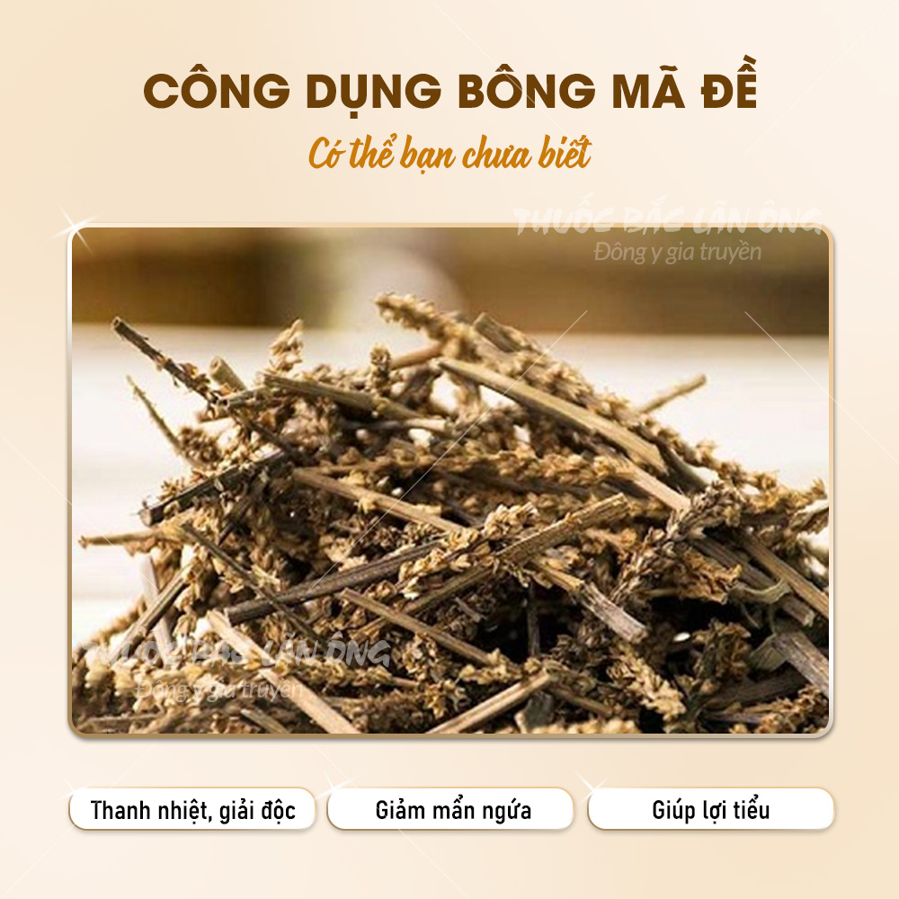 Bông mã đề khô 100g, cây mã đề, thơm, sạch - Lãn Ông