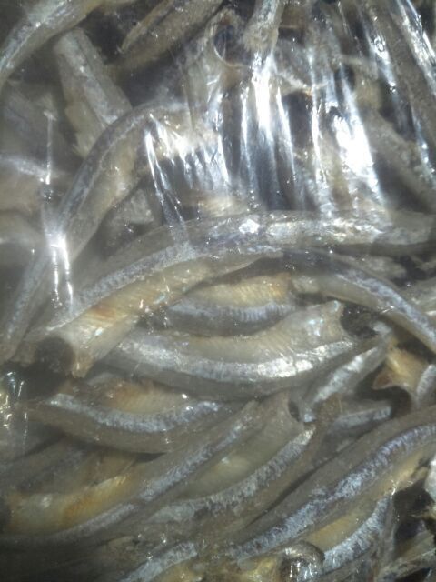 1kg CÁ CƠM XANH ngon