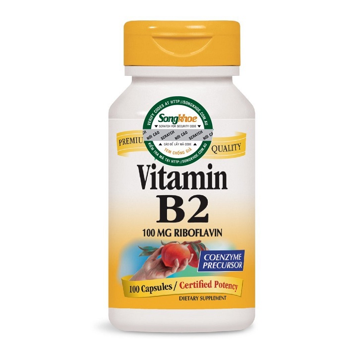 Nature's Way Vitamin B2 100 Capsules