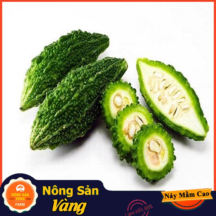 Hạt giống Khổ Qua Rừng Nảy Mầm Cao, Giàu Giá Trị Dinh Dưỡng ( Gói 10 Hạt ) - Nông Sản Vàng