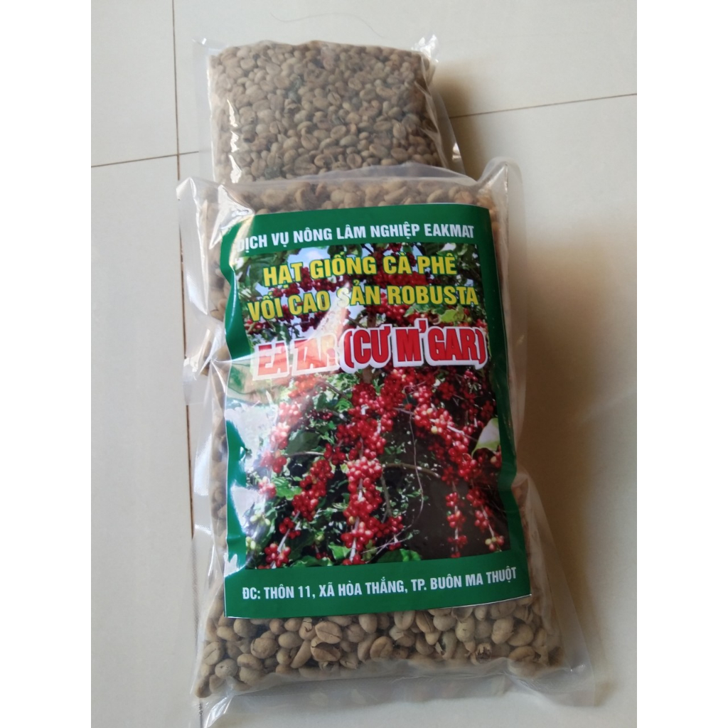 1KG HẠT GIỐNG CÀ PHÊ EA TAR (CƯ MGAR) gói 1kg