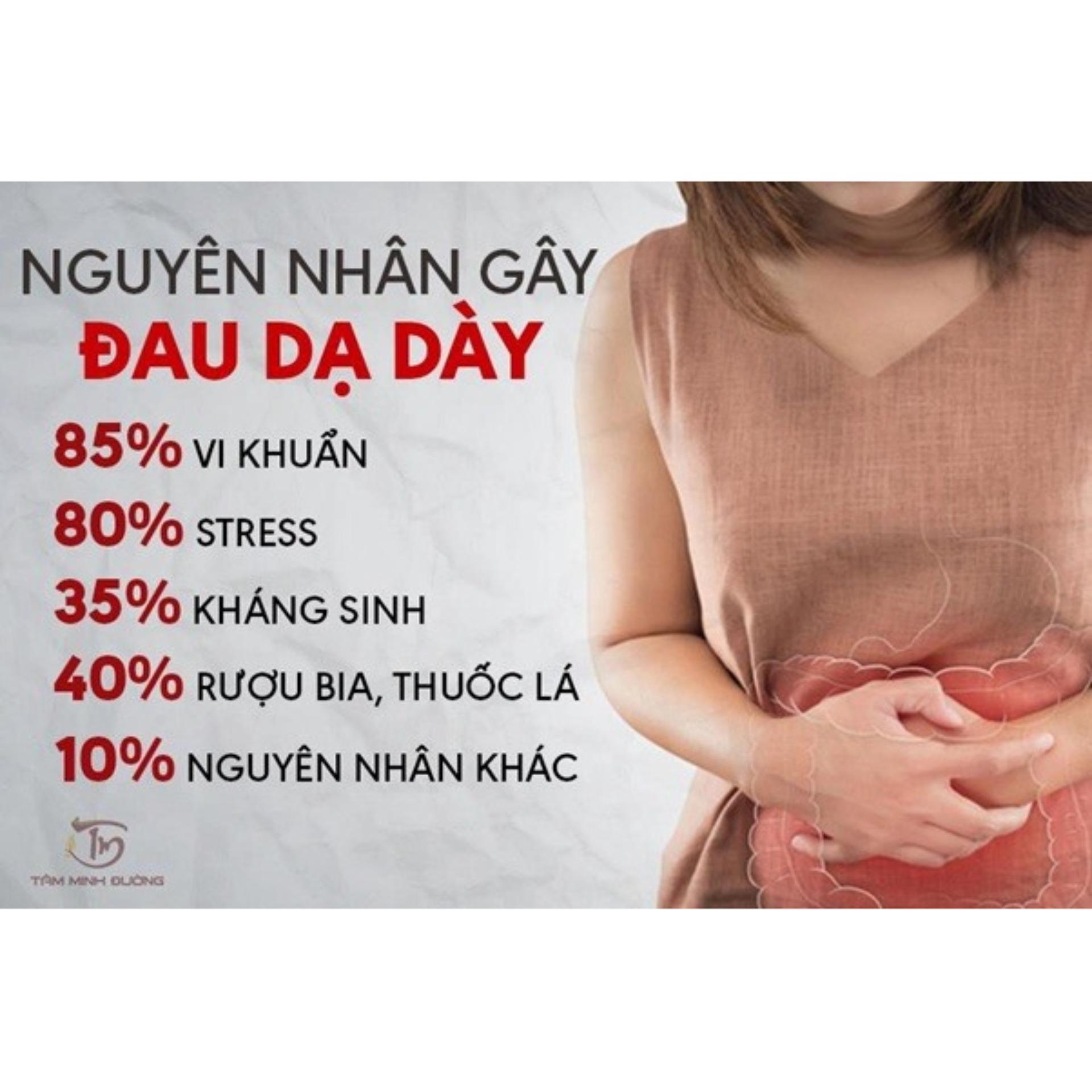 Bột thảo dược dạ dày dưỡng sinh đường SDDAY36