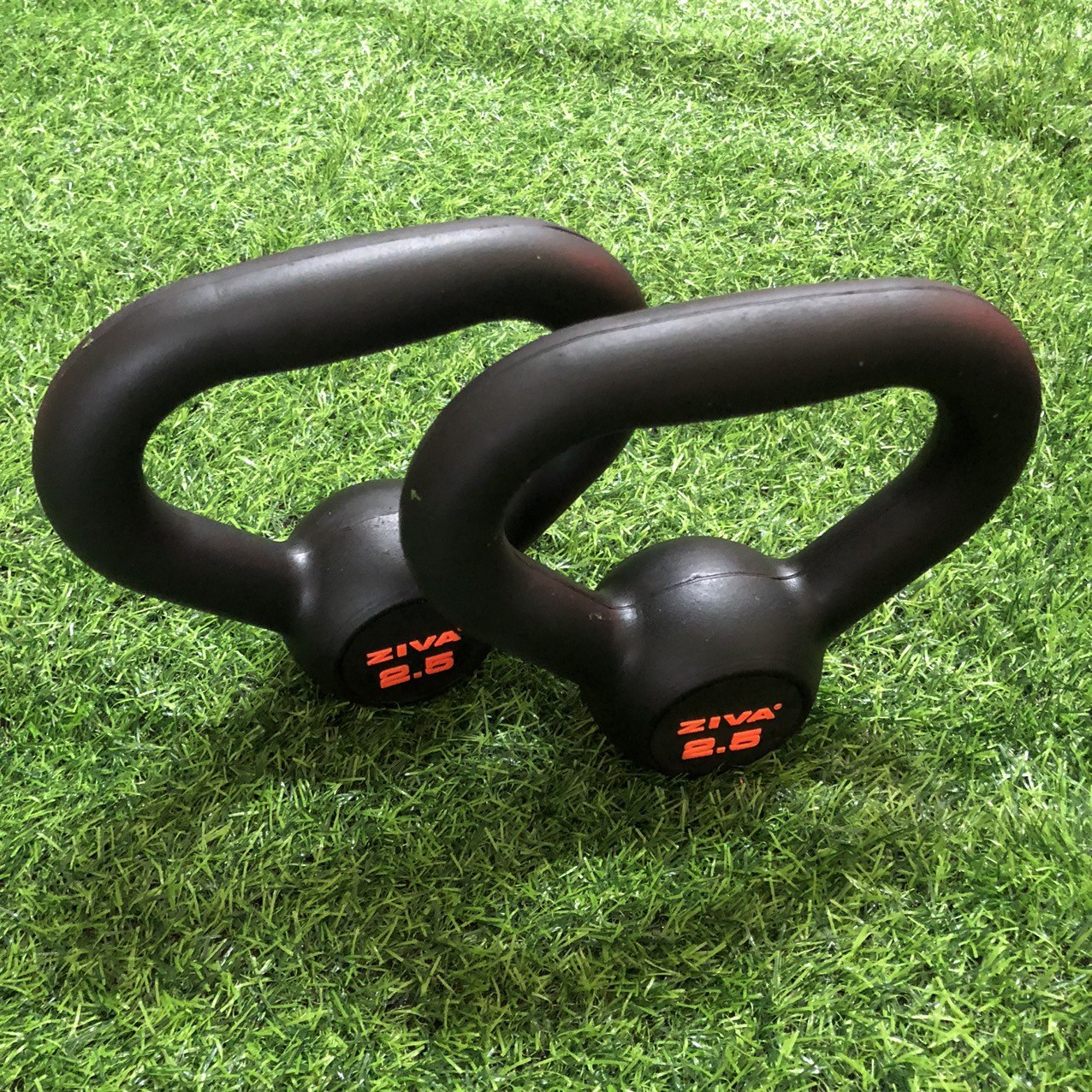 Tạ ấm cao su ziva 2.5kg