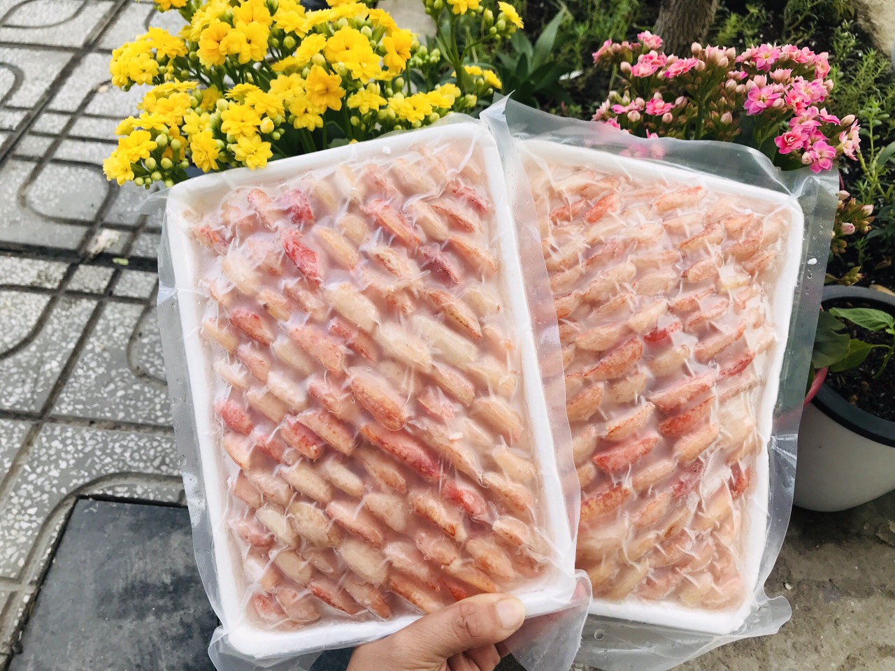 Wholesale price 1kg meat as ghẹ bucket type small