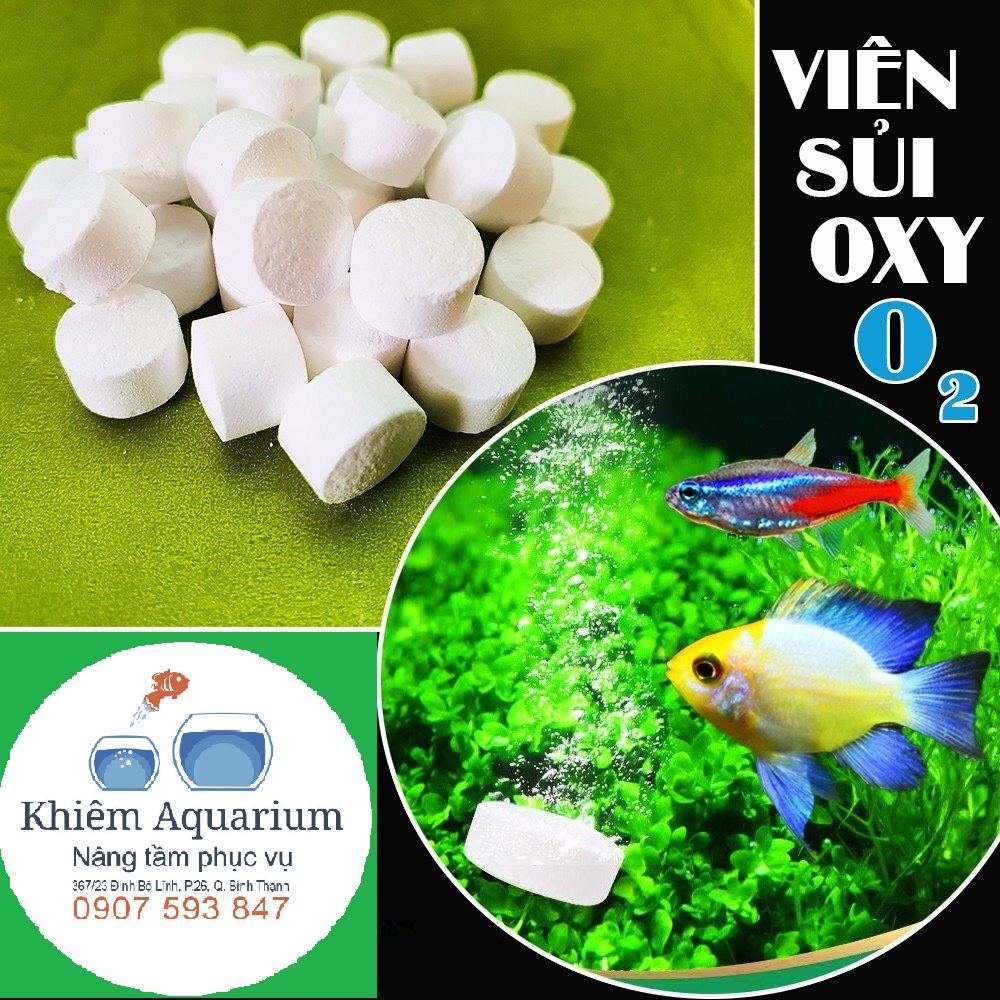 Oxy Viên Sủi Đậm Đặc - Cung Cấp Oxi cho Cá 🐟