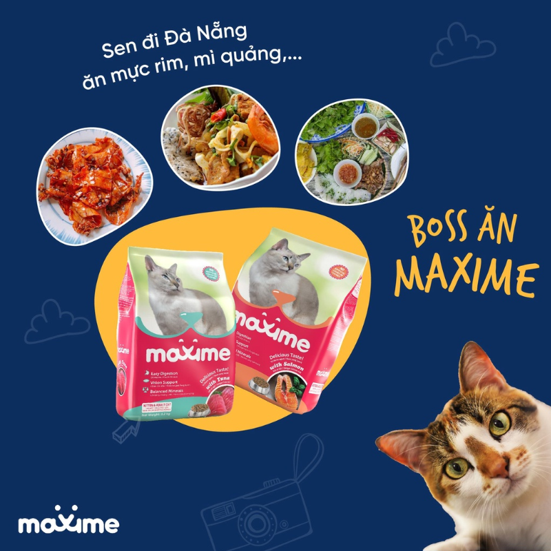 Thức Ăn Hạt Cho Mèo Maxime Cho Mèo Mọi Lứa Tuổi - Yan Pet