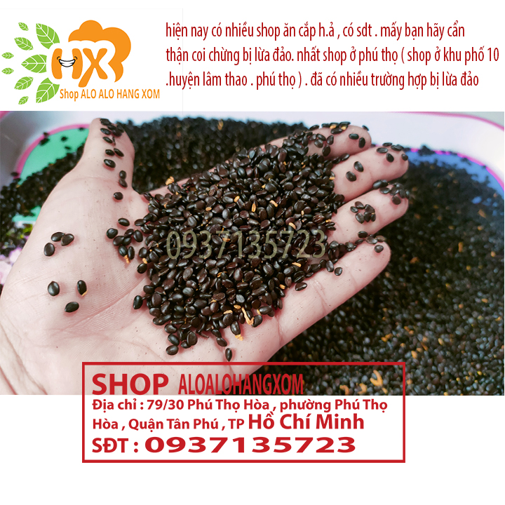 hạt giống cây tràm lai - 1000 gram