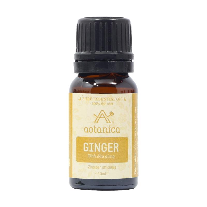 Tinh dầu gừng Aotanica