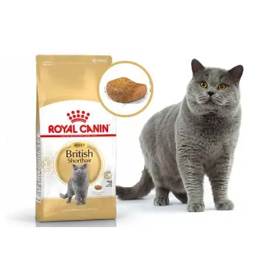 Thức ăn cho mèo trưởng thành Royal Canin British Shorthair Adult 2kg