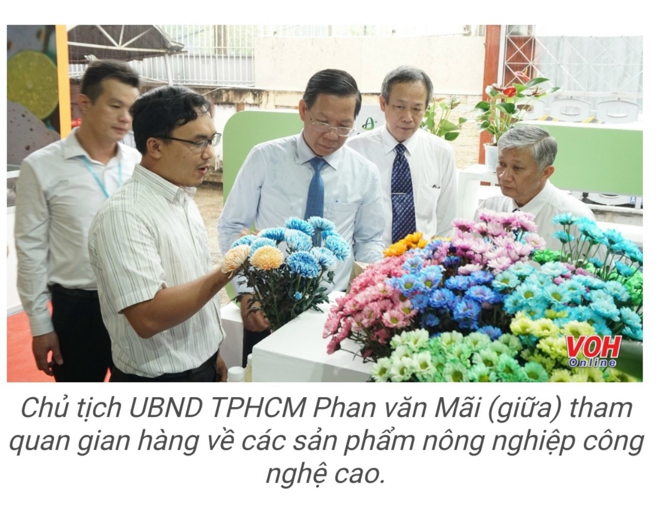 Nước nhuộm hoa Humik chai 100ml