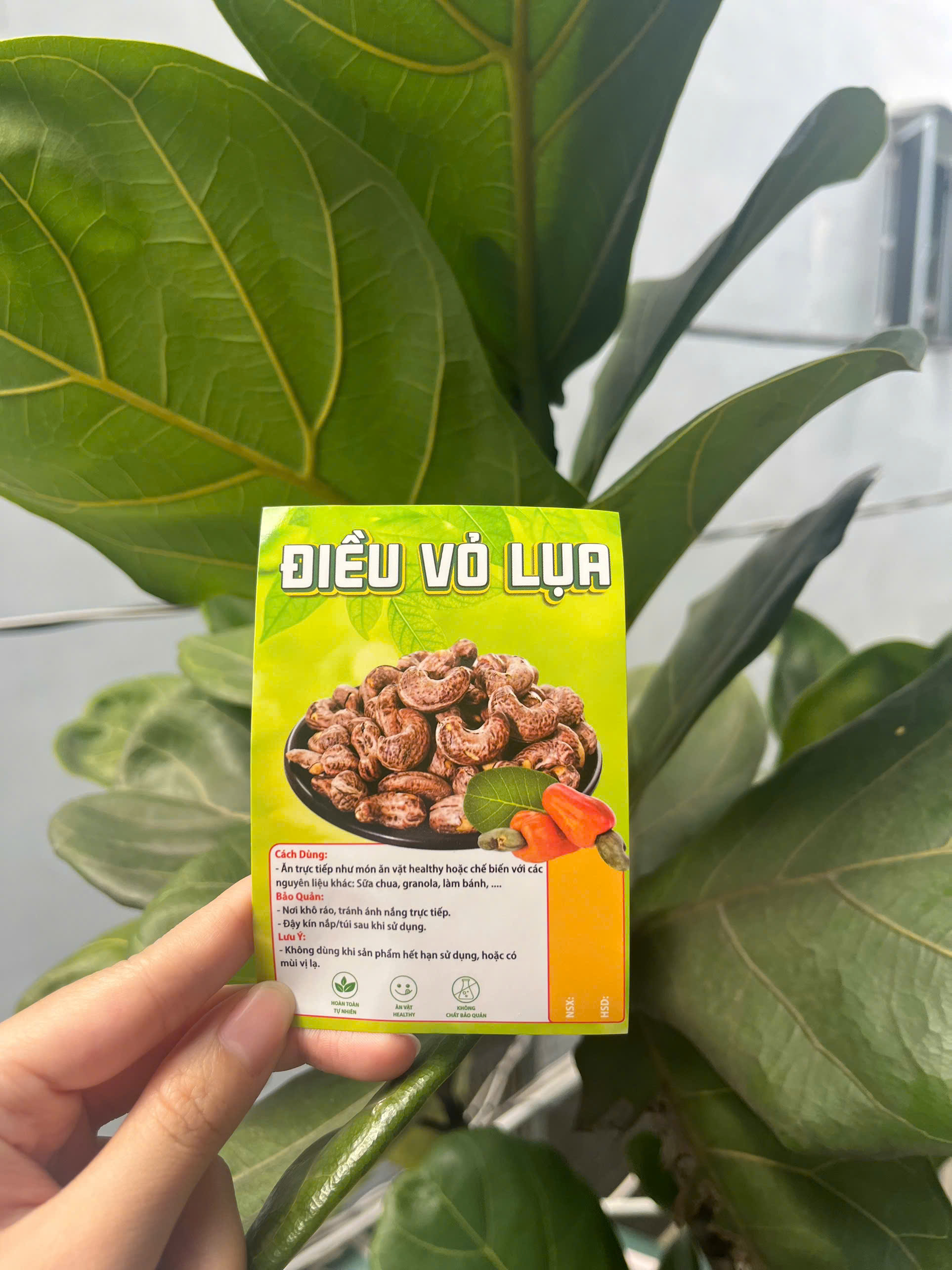 50 Tem Dán “Điều vỏ lụa” 7x10 cm - Cán Bóng, Dày, Đẹp