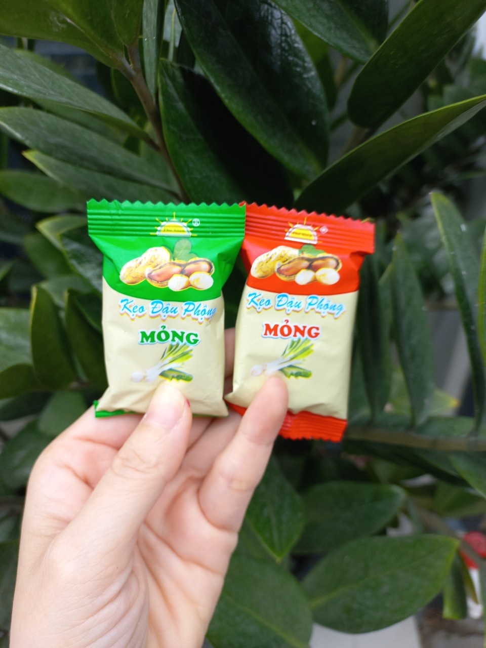 Tết 50g Kẹo ĐẬU PHỘNG HÀNH loại đặc biệt thơm ngon - Bánh kẹo tết Phú Xuân