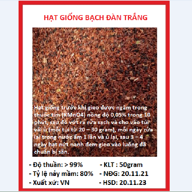 Hạt giống cây bạch đàn trắng dể trồng(gói 50 gram) cây lấy gỗ
