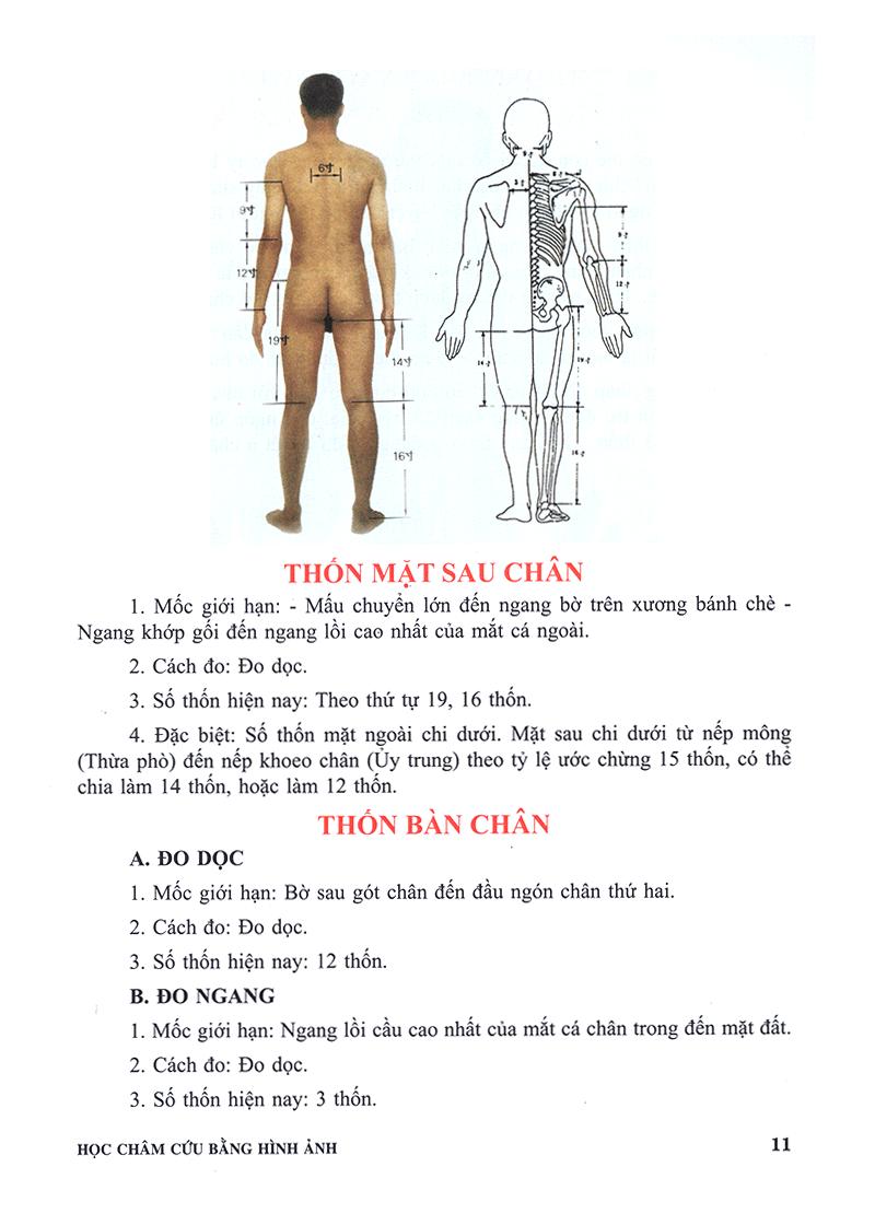 Học Châm Cứu Bằng Hình Ảnh