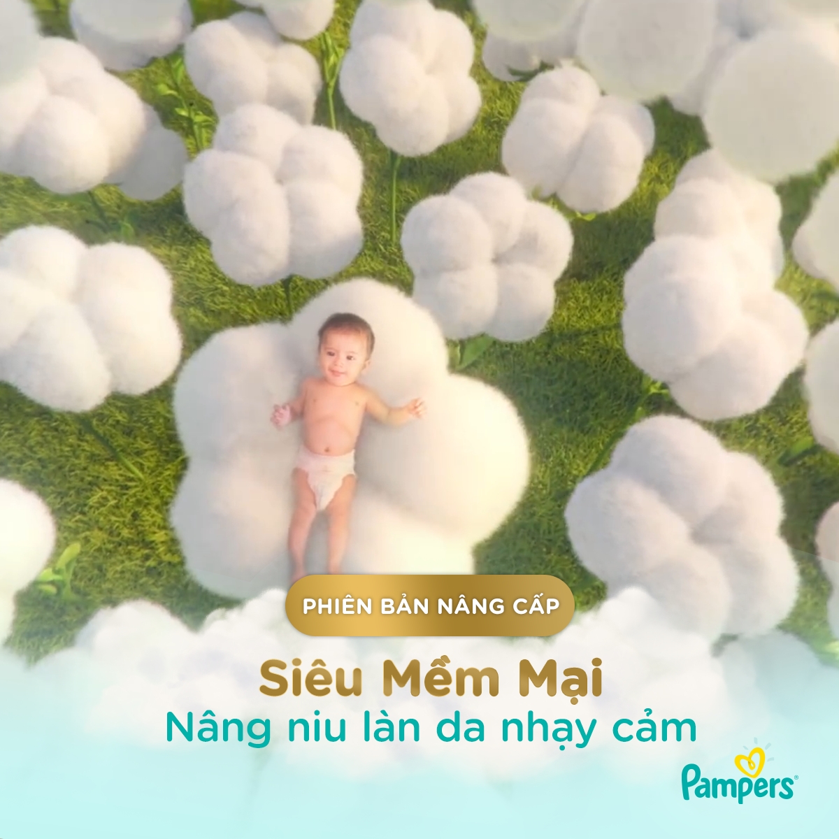 Tã quần Pampers Nhật Bản new (M, 6-11kg, 48 miếng)