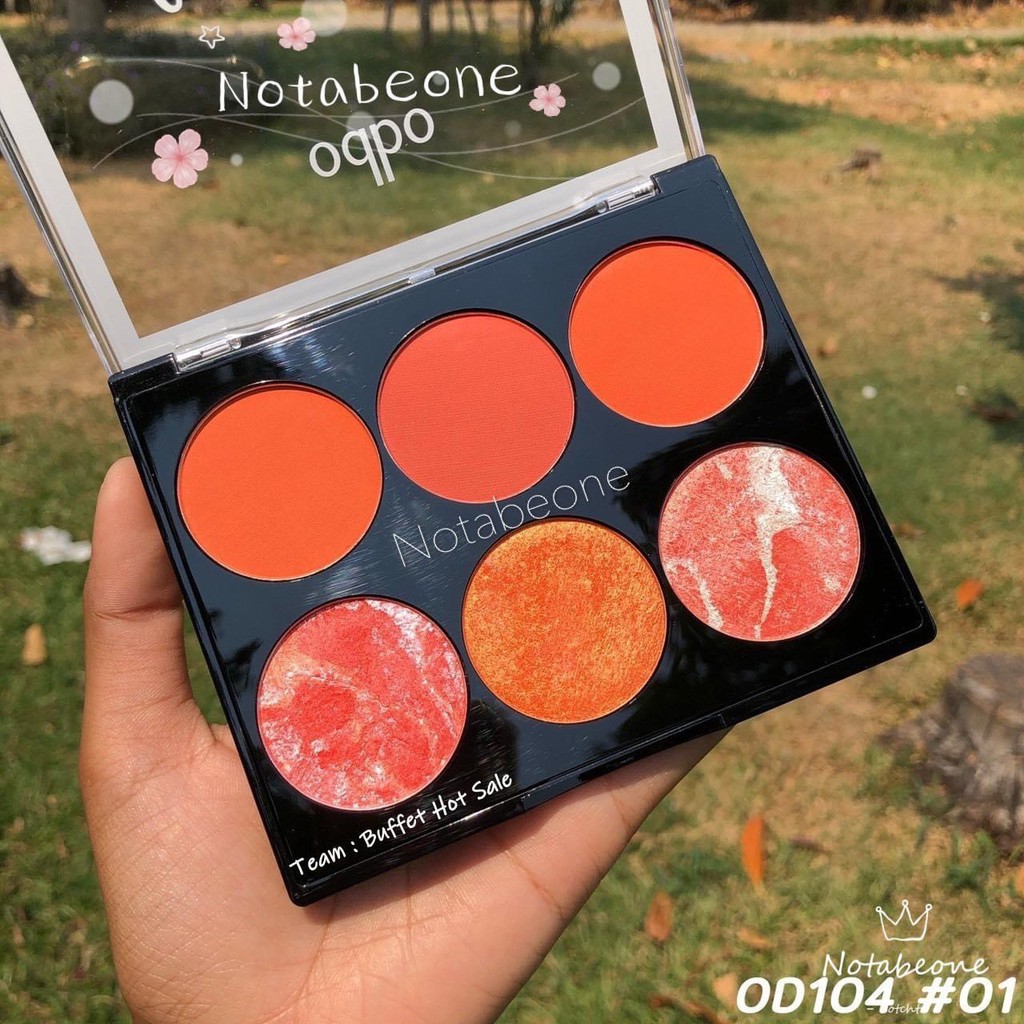 Phấn má 6 ô odbo color harmony blusher