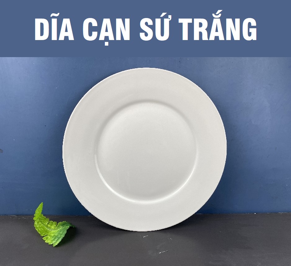 DĨA TRÒN CẠN SỨ TRẮNG – ĐỦ SIZE  (CỠ 6,7,8,9)