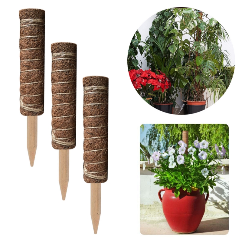Trụ cột xơ dừa cho cây leo bám cột 30/40/50cm-HAUSE