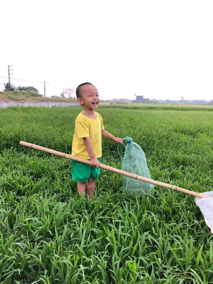 VỢT CHÂU CHẤU , CÀO CÀO