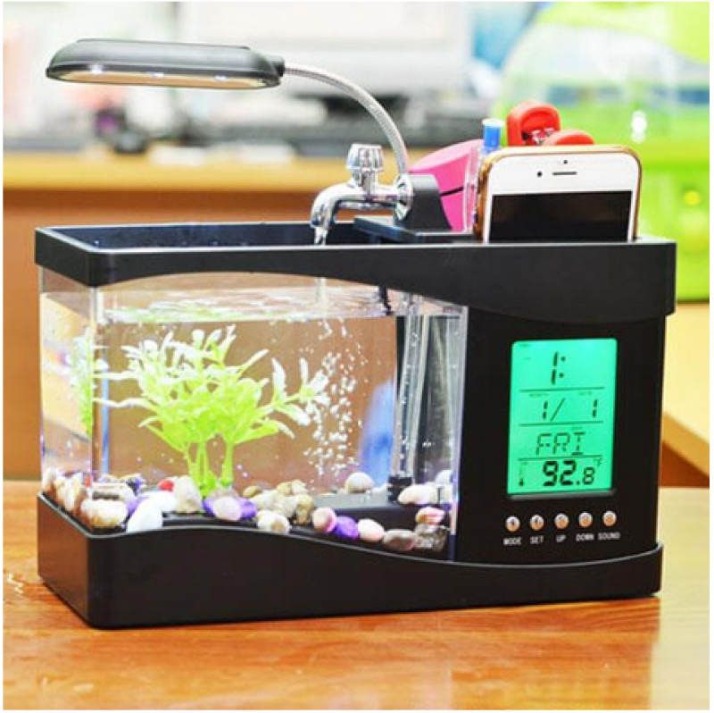 Bể cá mini để bàn, kiêm đồng hồ báo thức