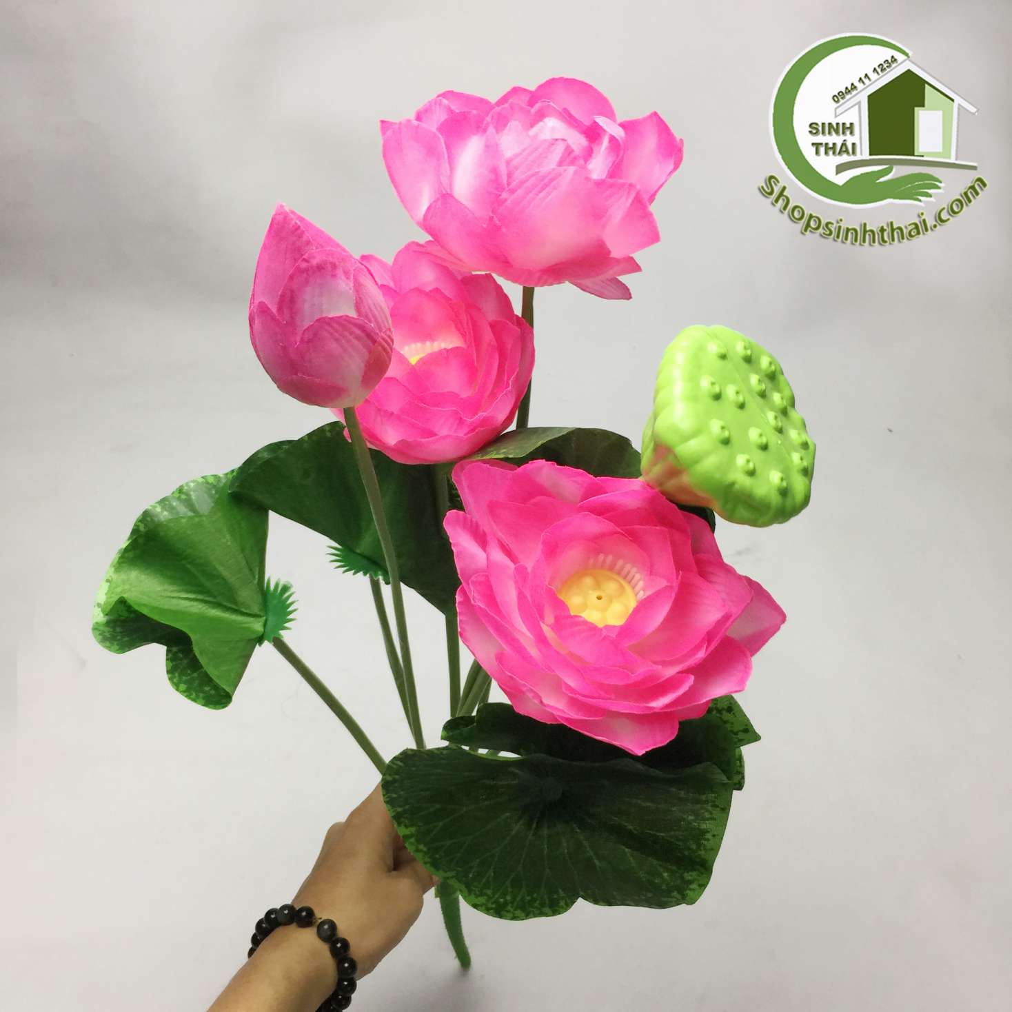 [HCM]Hoa sen giả - bụi sen lớn
