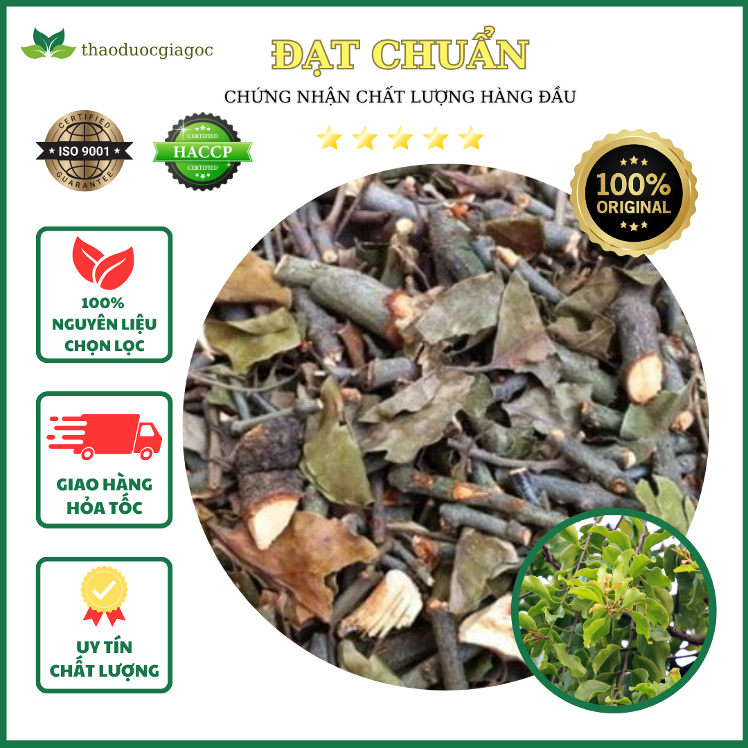 1kg cây tầm gửi gạo hà giang