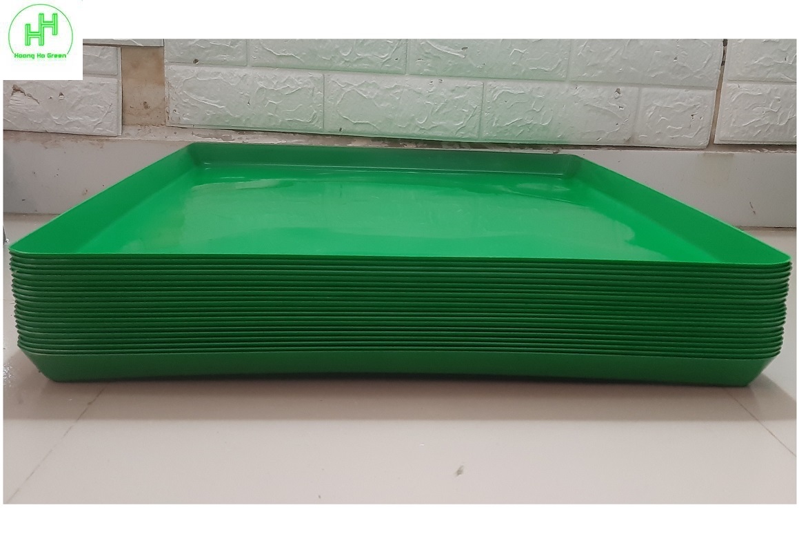 20 Khay/Máng Hứng Phân Chim, Khay Đựng Phân Gà, Khay Hứng Phân Chim Bồ Câu, Kích Thước 49x49Cm