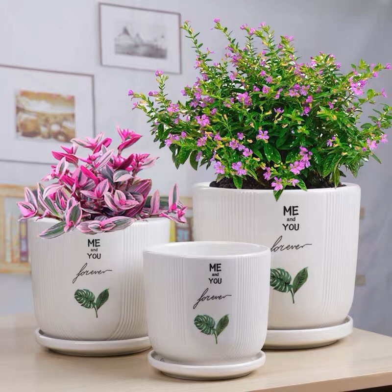 Chậu trồng cây size 17cm - kèm đĩa đựng nước