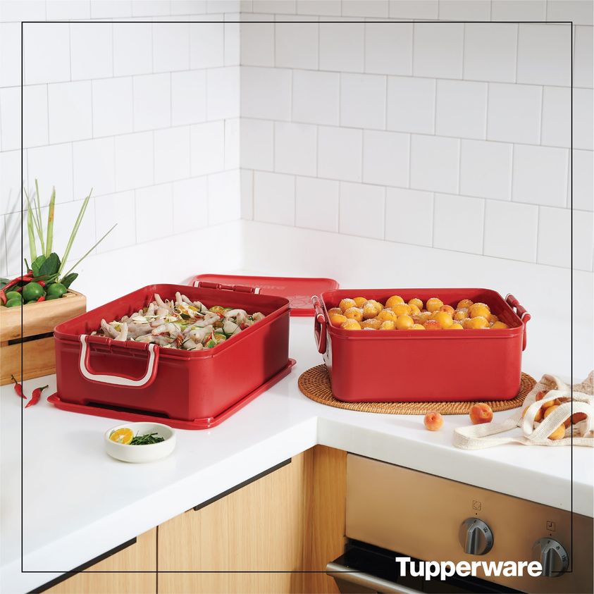 Bộ hộp bảo quản thực phẩm Tupperware ngâm (2)
