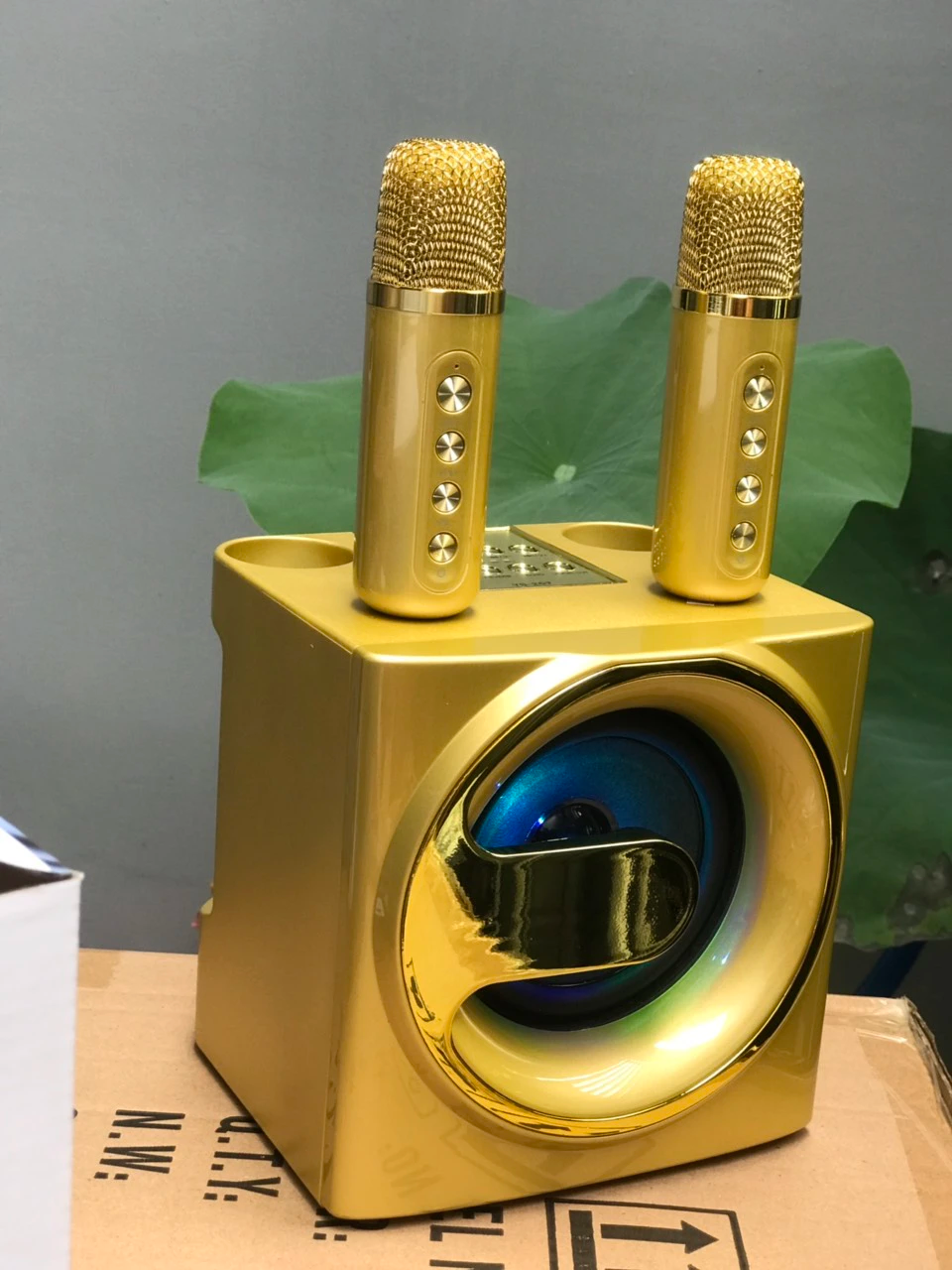 Loa Bluetooth Karaoke Su-Yord YS207 kèm 2 micro mẫu mới
