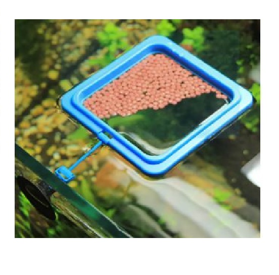 Vòng giữ thức ăn cho cá hình vuông hình tròn 10cm - Vòng cho cá ăn