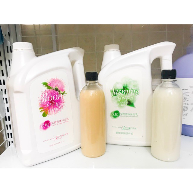Sữa tắm cho chó mèo bloom can 4 lít