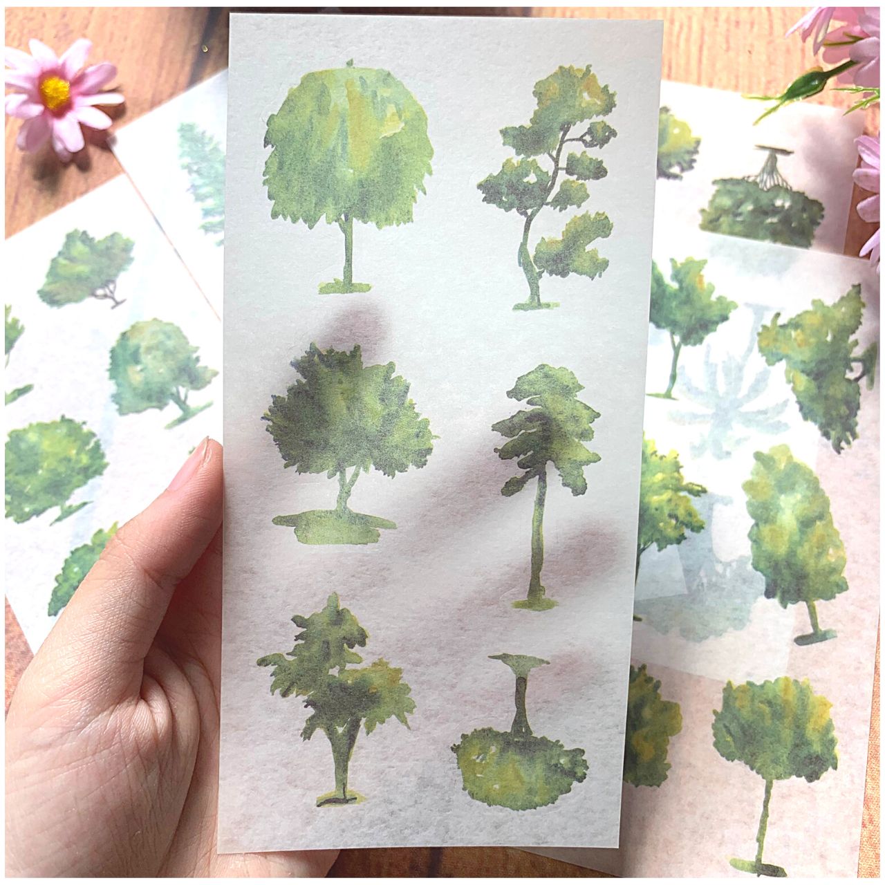 [HCM]Bộ 6 Tấm Sticker Cây Xanh