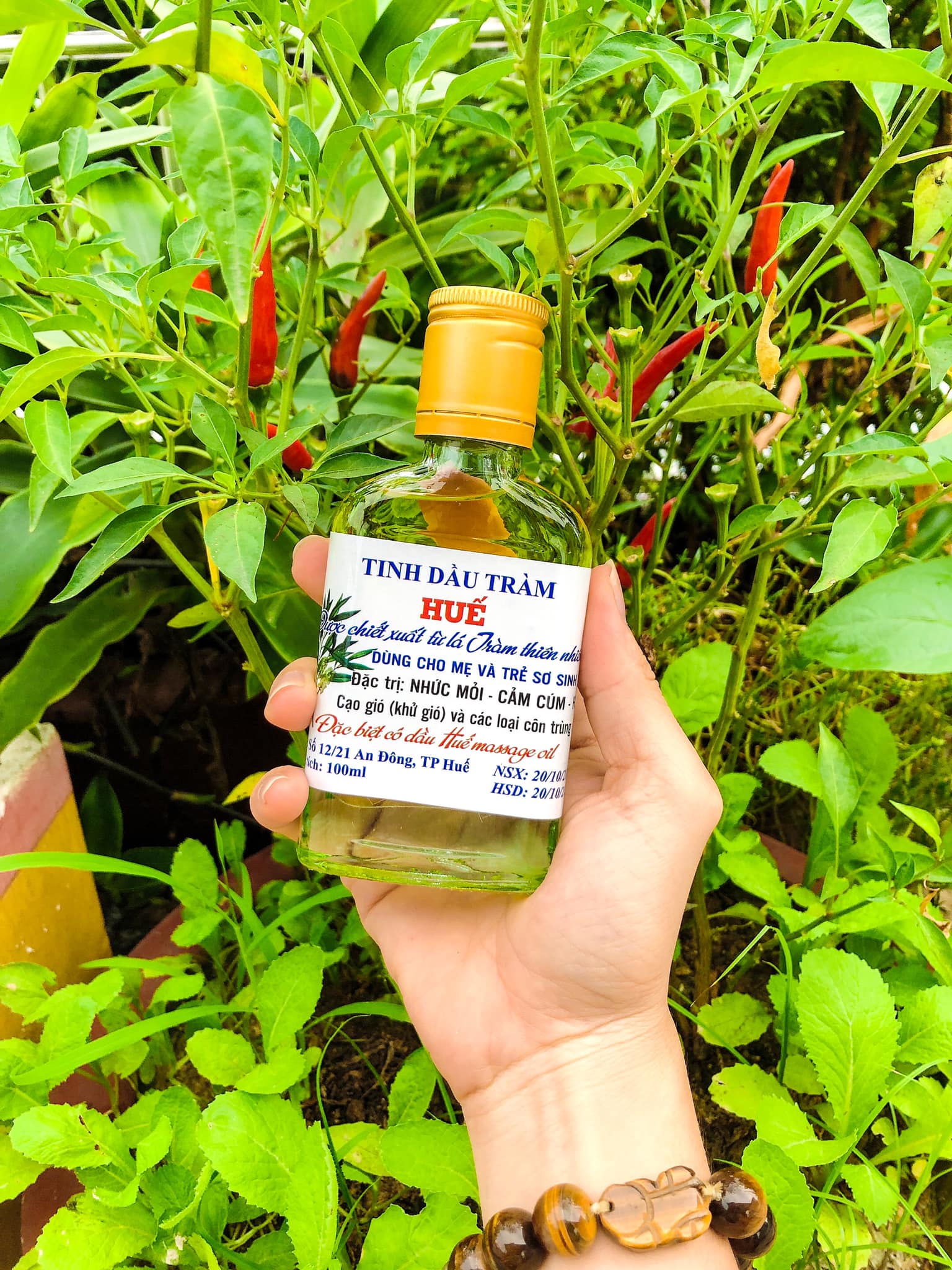 Tinh dầu tràm Huế nguyên chất 100 ml
